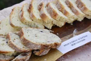 Avtor Branko Česnik (6)